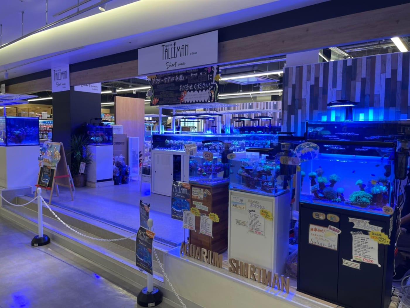 アクアリウムトールマン　イオン海浜幕張店画像